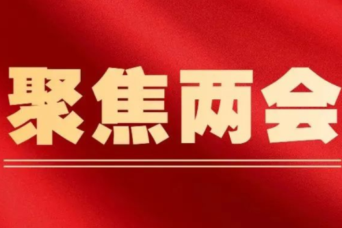 全国人大代表、bat365集团董事长李寅：突破传统能源消费模式 加快发展生物质能产业